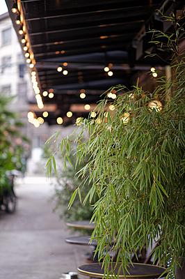 Uber Exif Photo