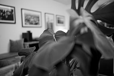 Uber Exif Photo